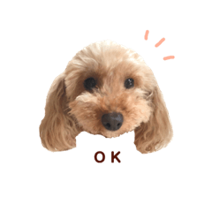 [LINEスタンプ] うちのぺこ