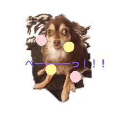 [LINEスタンプ] もんろーさんとあたし
