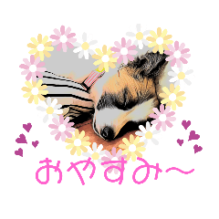 [LINEスタンプ] もちちゃん ！（Picture version）