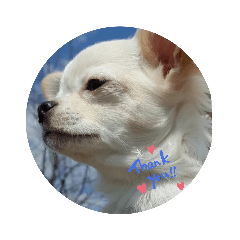 [LINEスタンプ] ☆☆★★〇〇◆◆