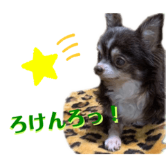 [LINEスタンプ] ロックなみーさん