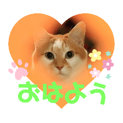 [LINEスタンプ] 空っちの日常生活言葉