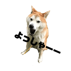 [LINEスタンプ] ミントの日常(^^)