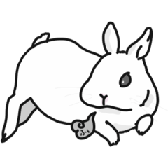 [LINEスタンプ] うさぎさんの日常 :)