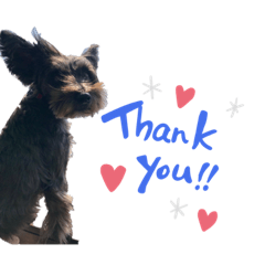 [LINEスタンプ] うちのお犬様。
