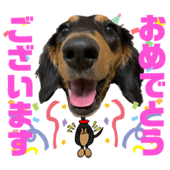 [LINEスタンプ] ダックスフントひなちゃんスタンプ2