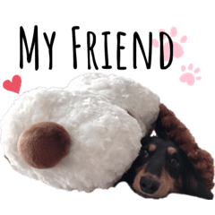 [LINEスタンプ] ダックス’s❤︎