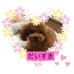 [LINEスタンプ] くるみのスタンプ♫