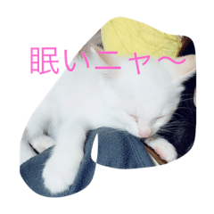 [LINEスタンプ] linpekokuro
