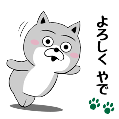 [LINEスタンプ] 柴犬やねん★日常★やさしい関西弁★前向き