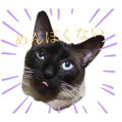 [LINEスタンプ] かぞくすたんぷぅ