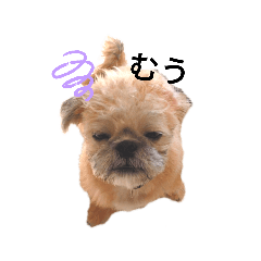 [LINEスタンプ] さんちゃん♂のスタンプ