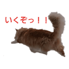 [LINEスタンプ] けものCLUB