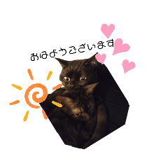 [LINEスタンプ] 黒猫すたんぷ