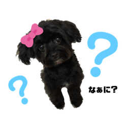 [LINEスタンプ] ビビちゃんスタンプ②