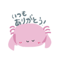[LINEスタンプ] かにちゃんかっぷるスタンプ