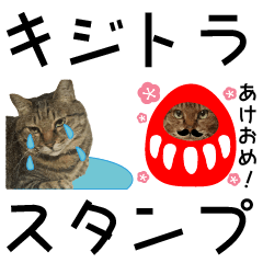 [LINEスタンプ] キジトラ猫イベント＆シーンスタンプ