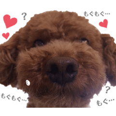 [LINEスタンプ] kuusutanpu