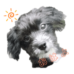 [LINEスタンプ] 王子とテディー no.1