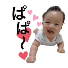[LINEスタンプ] 我が家のかわいいこてつ2