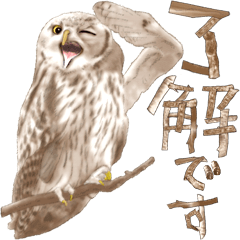 [LINEスタンプ] 毎日使えるフクロウさんスタンプ