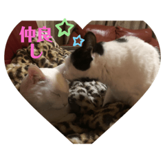 [LINEスタンプ] ウチの猫S