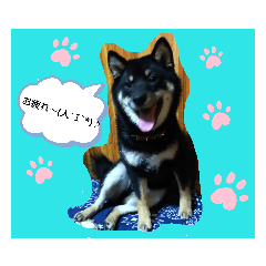 [LINEスタンプ] やまと(U´・ェ・)