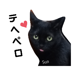 [LINEスタンプ] 黒猫スタンプMoon＆Sun
