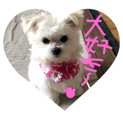 [LINEスタンプ] キュートなわんわんスタンプ