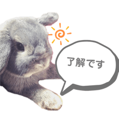 [LINEスタンプ] まるスタンプ（ロップイヤー）