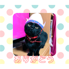 [LINEスタンプ] 黒猫のもみじ