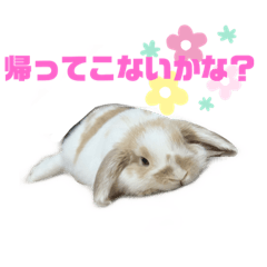 [LINEスタンプ] ロップイヤーのふわふわふわり