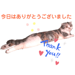[LINEスタンプ] スコスコあんずちゃん♡❷
