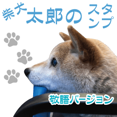 [LINEスタンプ] 柴犬【太郎】敬語バージョン