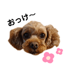 [LINEスタンプ] めいりんぽこのスタンプ