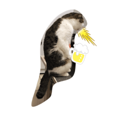 [LINEスタンプ] ねこDTの人生 1.5