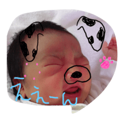 [LINEスタンプ] 怪獣ここな