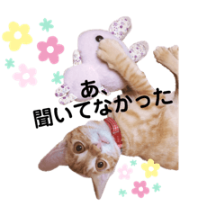 [LINEスタンプ] 茶トラ猫のななちゃん