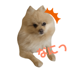 [LINEスタンプ] レオくんスタンプ①