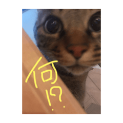 [LINEスタンプ] みたそ