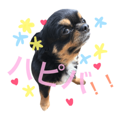 [LINEスタンプ] はらぺこにくきゅうスタンプ2