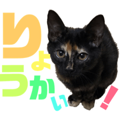 [LINEスタンプ] サビ猫・あかふくの日常
