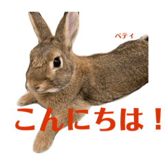 [LINEスタンプ] うさぎのベティと弟のウル