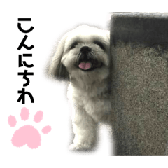 [LINEスタンプ] ぼすです