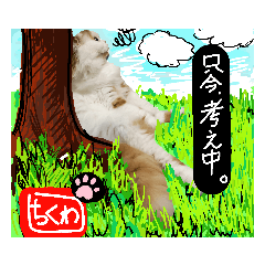 [LINEスタンプ] 【ちくわ】と【ラテ】