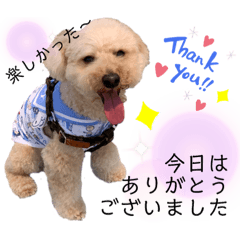 [LINEスタンプ] ムギのスケジュール