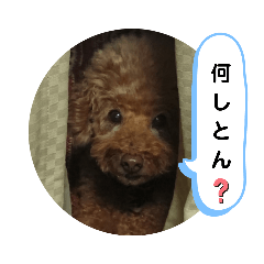 [LINEスタンプ] といぷうの留偉