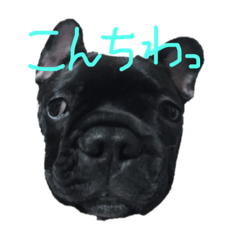 [LINEスタンプ] ぞいちゃんのスタンプ