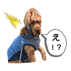 [LINEスタンプ] ちんぴらインギー②
