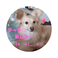 [LINEスタンプ] ポメックスの日常④